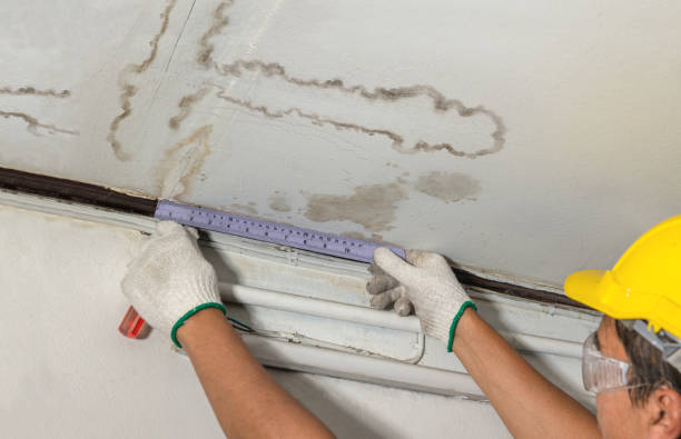 Reliable Burst Pipe Cleanup contractor in New Providence, NJ by Water Damage Irwin